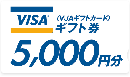 VISA ギフト券5,000円分